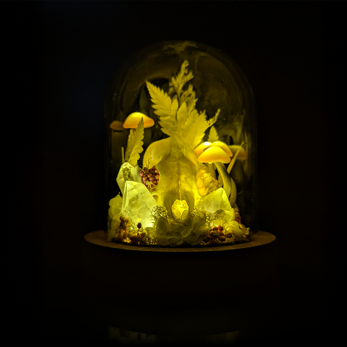 Martin Skull in Pink