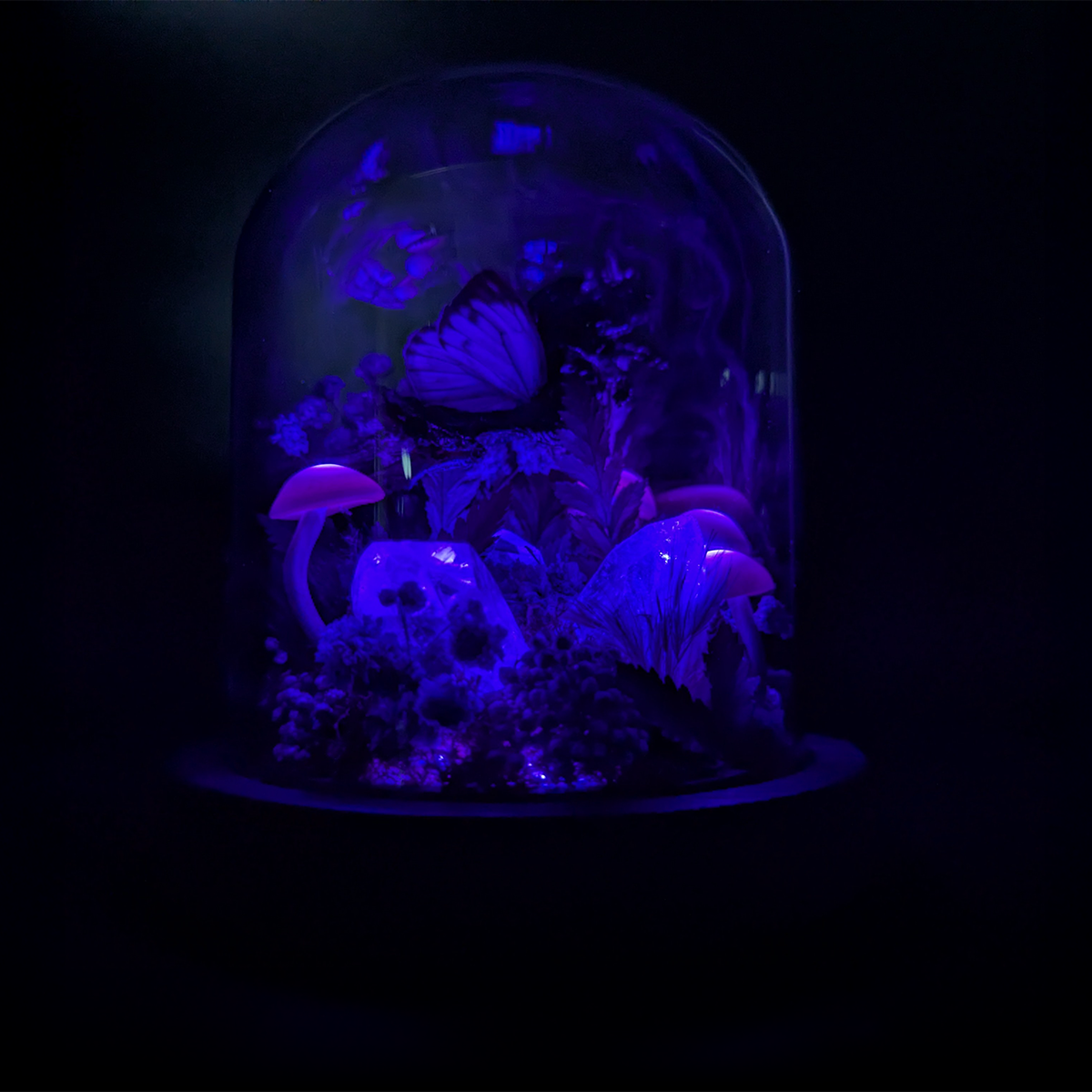 Creature Collection: Flayed Fairy in Purple