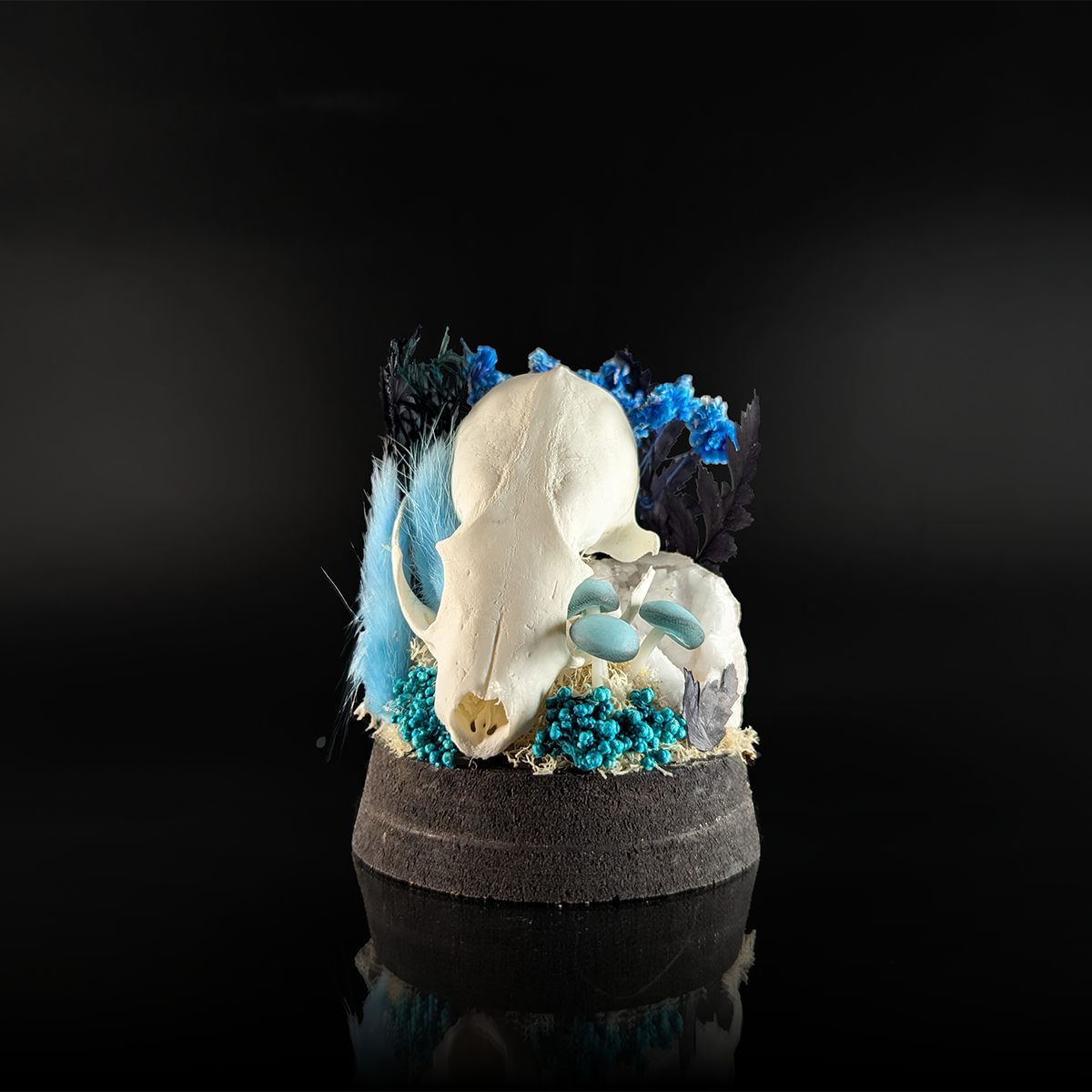Marten Skull in Glowing Blue
