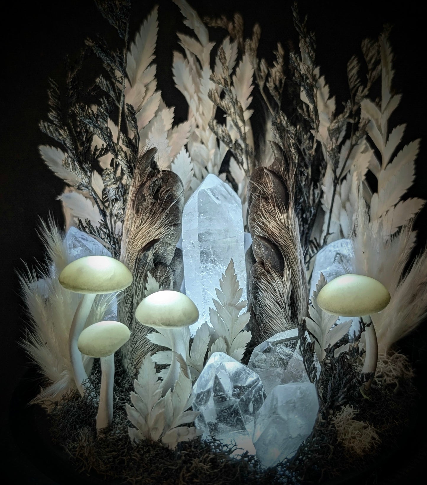 Raccoon paws in glass dome