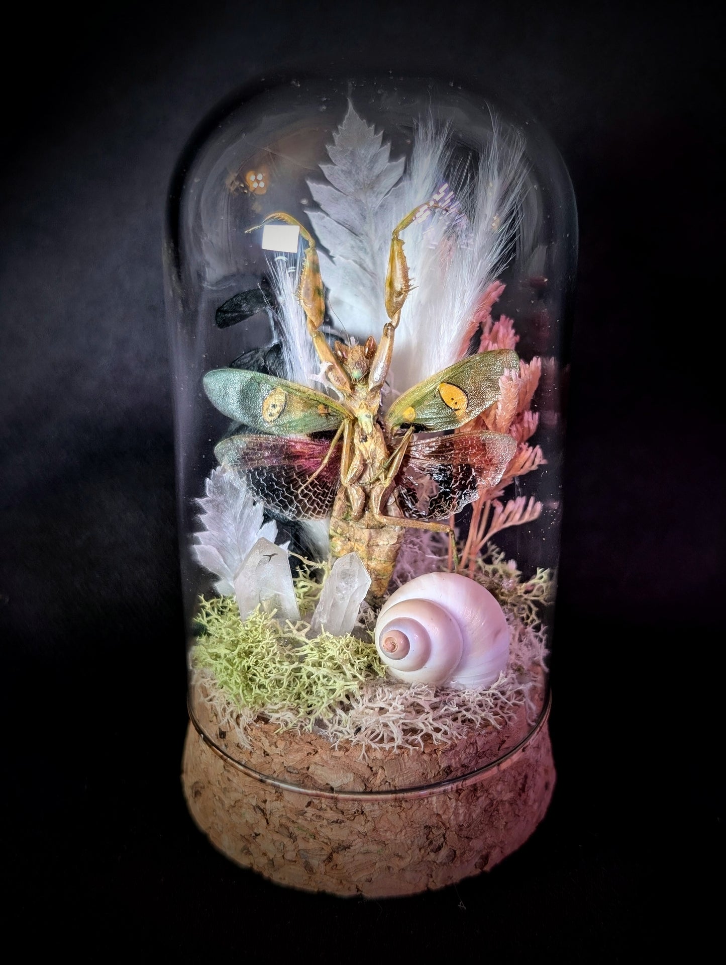 Flower mantis glass dome