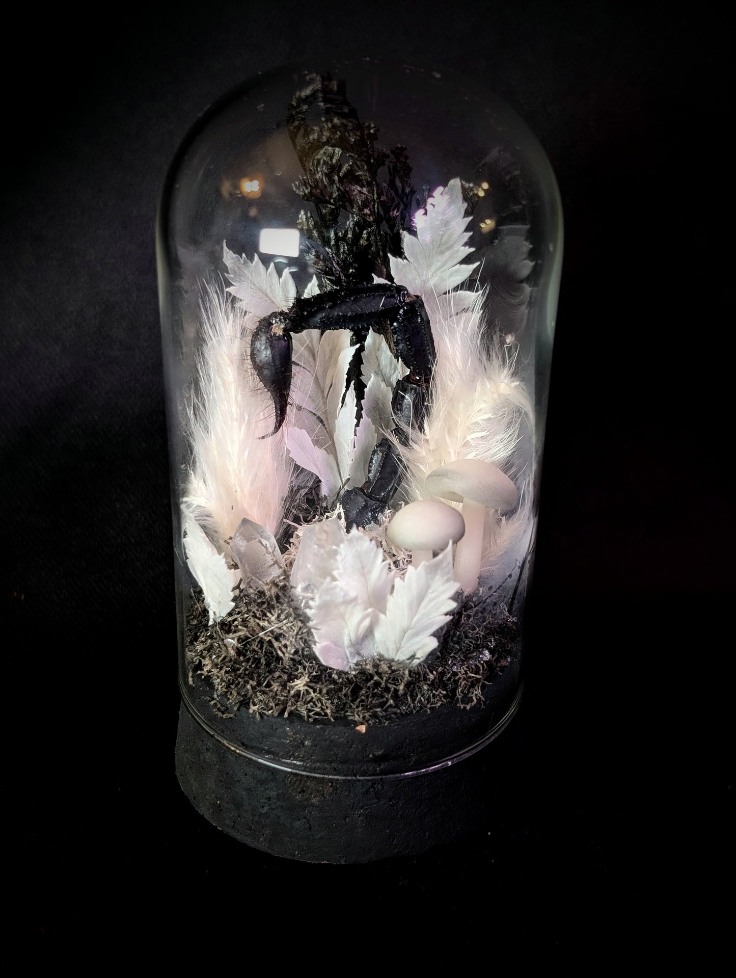 Small Scorpion jar