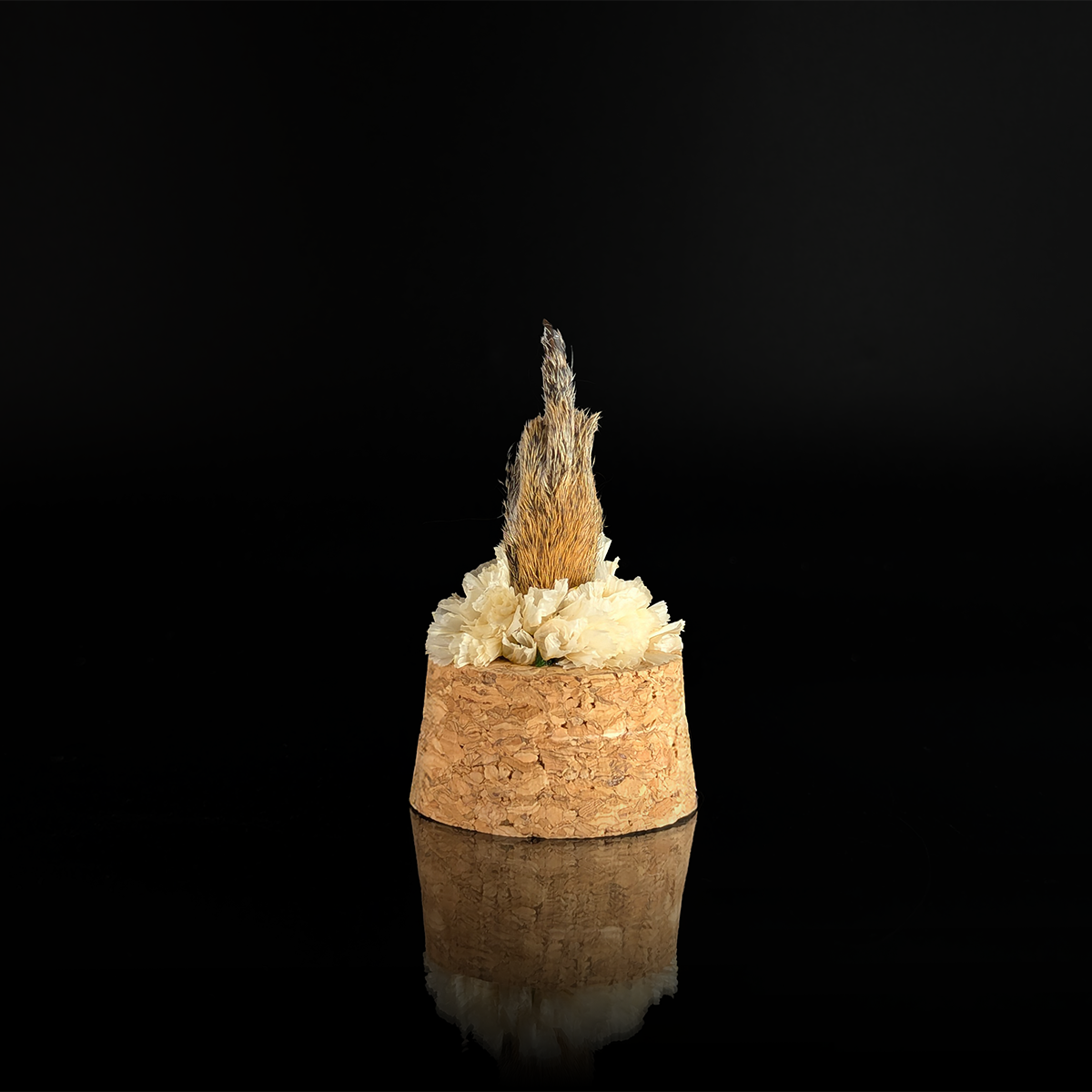 Squirrel Bird in Nature White