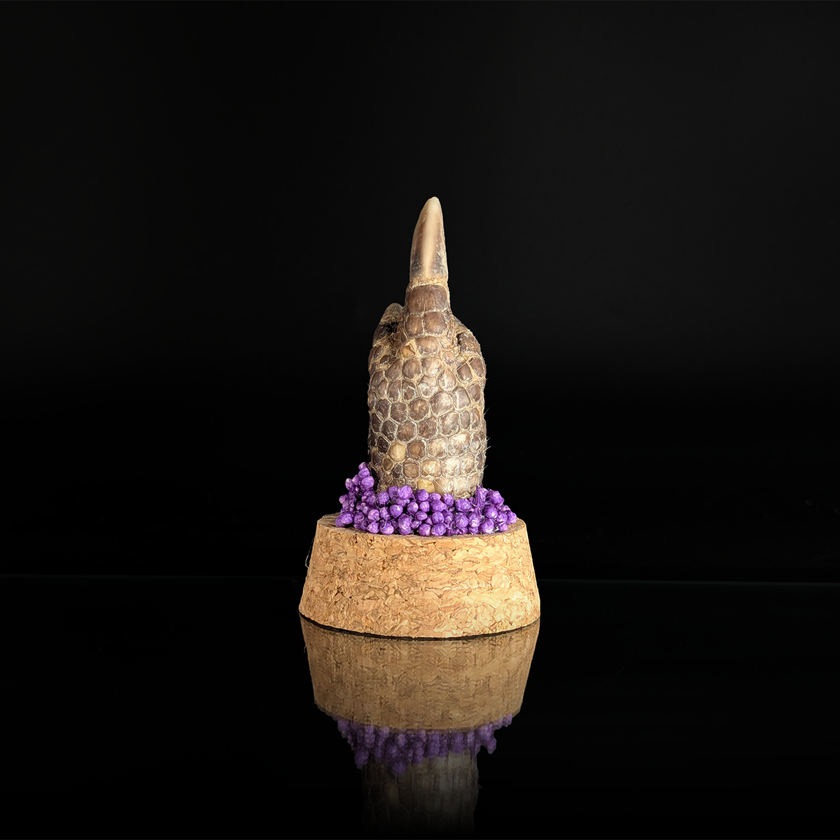 Armadillo Bird in Purple