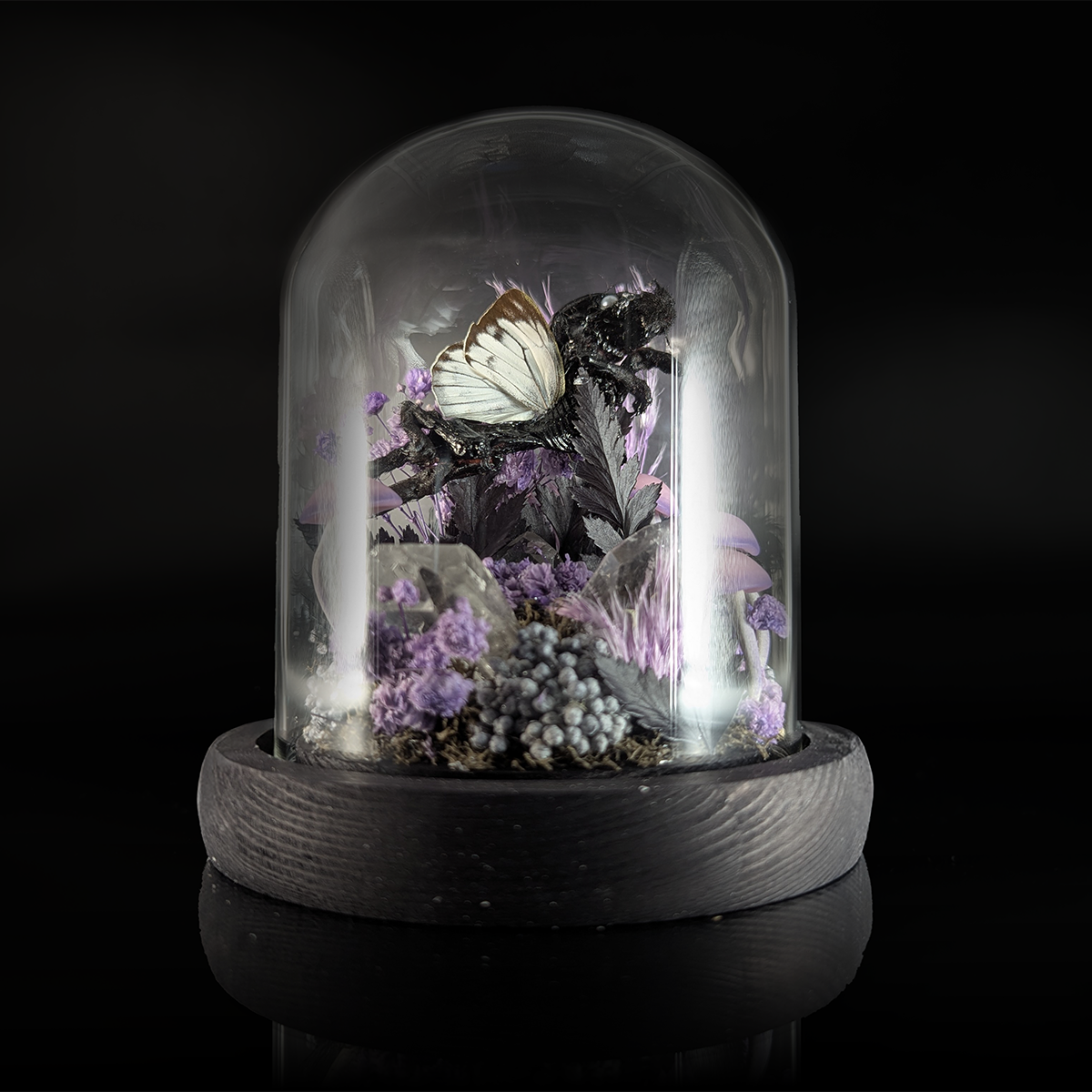 Creature Collection: Flayed Fairy in Purple