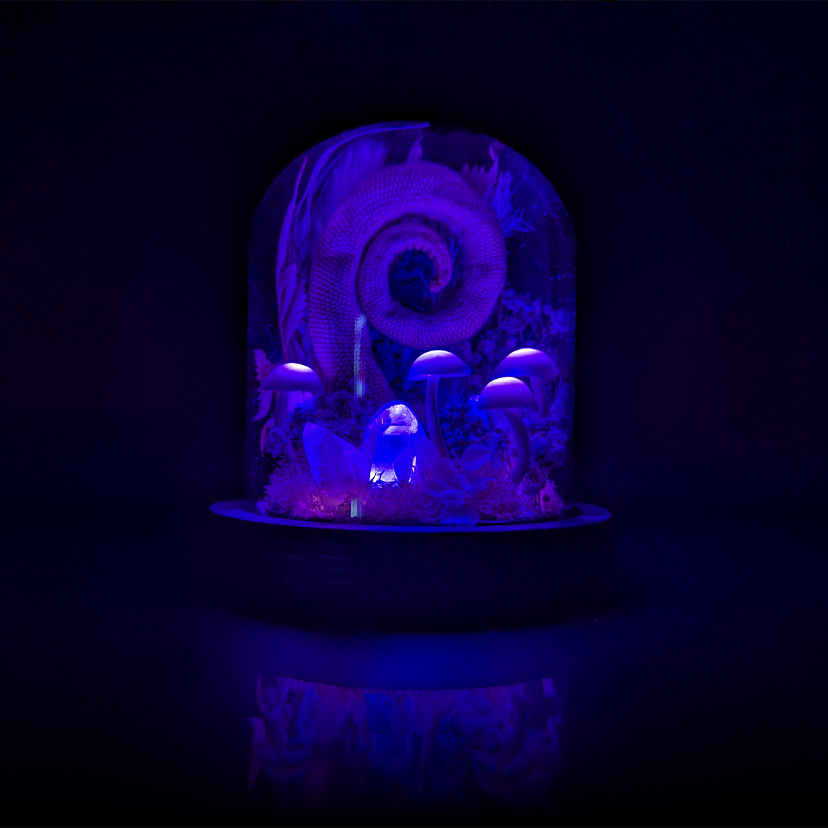 Possium Tail in Purple