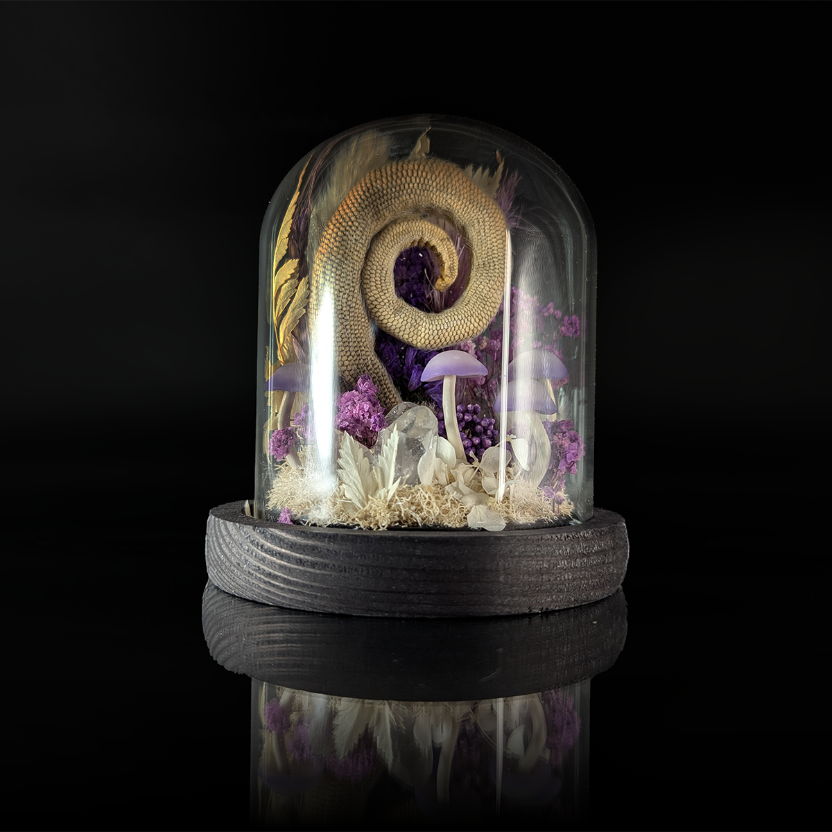 Possium Tail in Purple