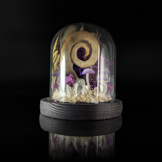 Possium Tail in Purple