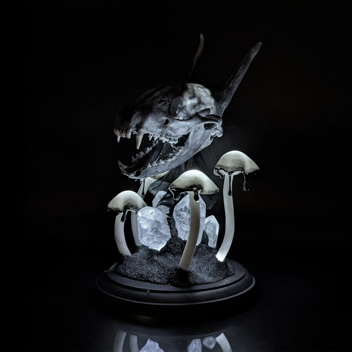 Creature Collection: Horned Ccoon Skull in Black