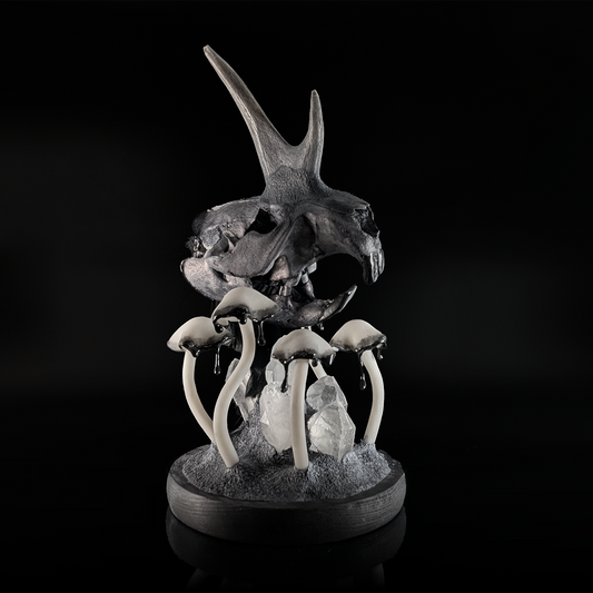 Creature Collection: Monoceros Castor Skull in Black
