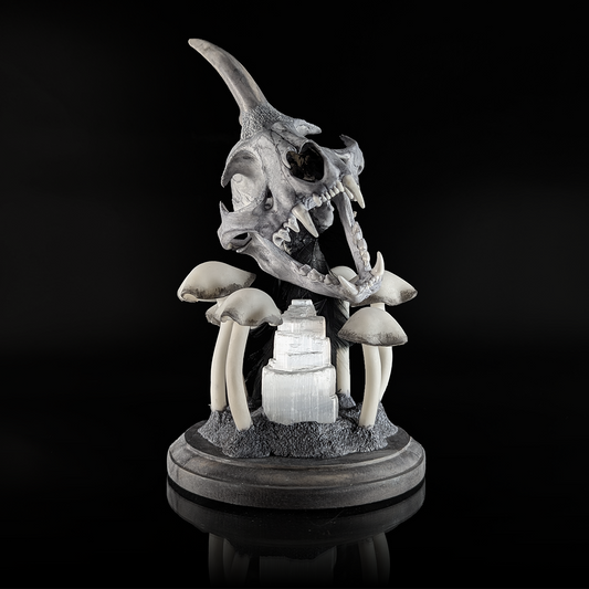 Creature Collection: Monoceros Lynx Rufus Skull in Black