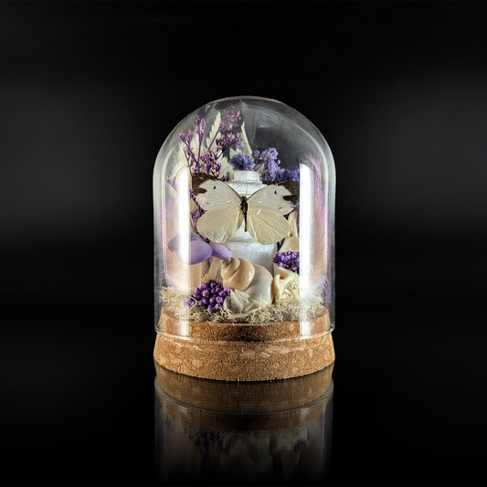 Cabbage White Butterfly on Selenite in Purple