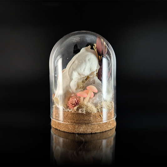 Marten Skull in Pink