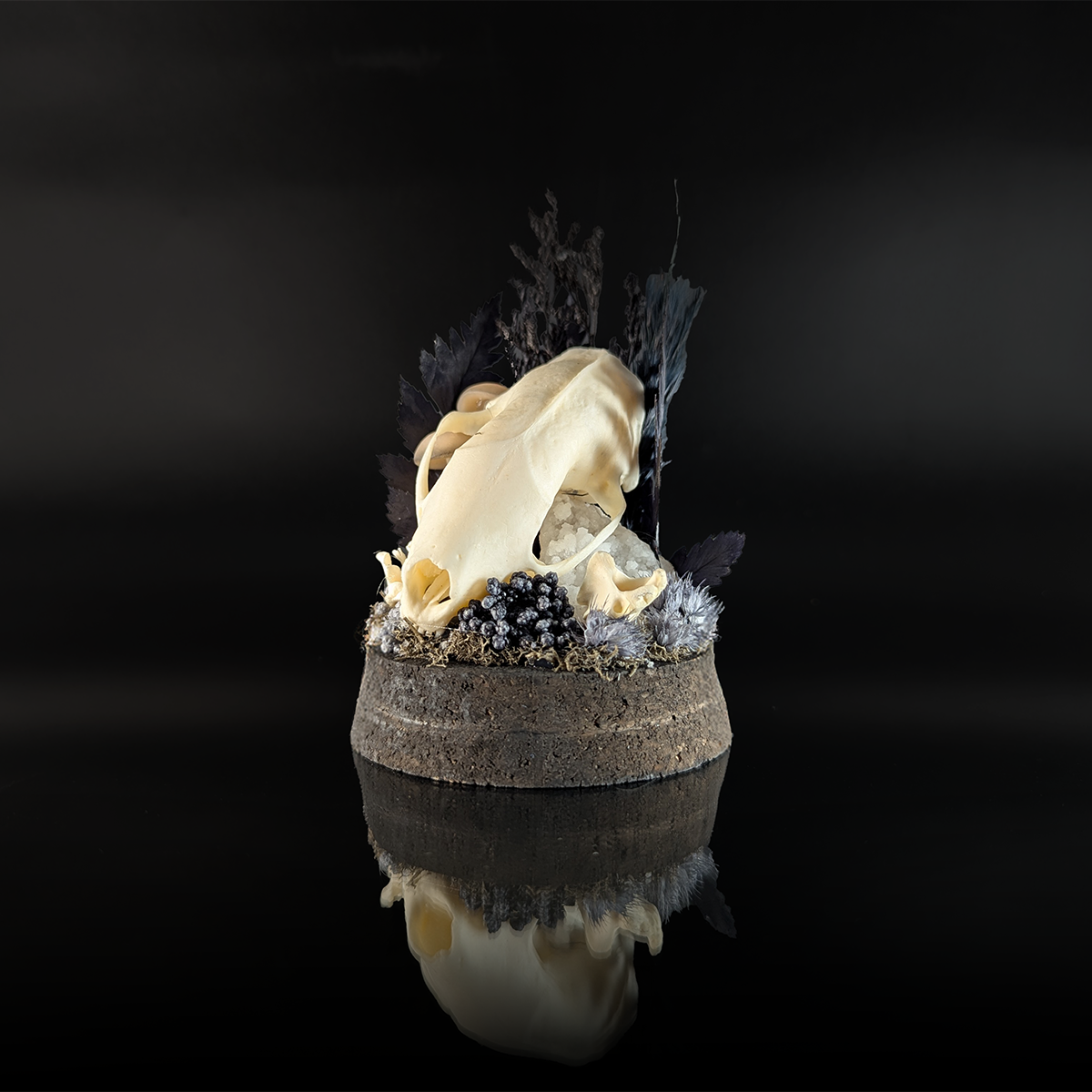 Martin Skull in Black