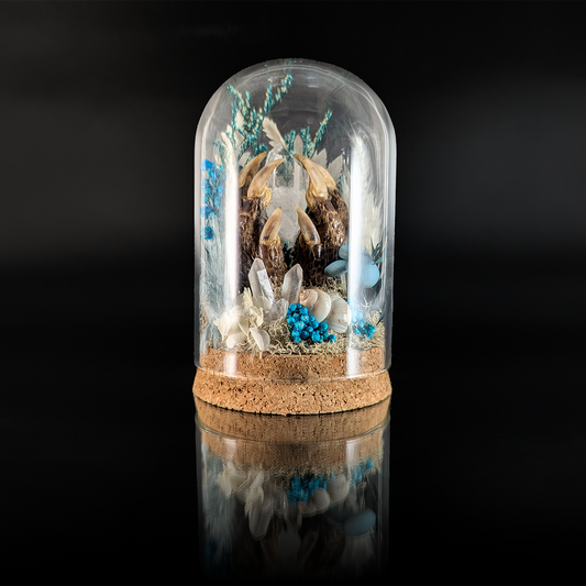 Armadillo Paws in Blue