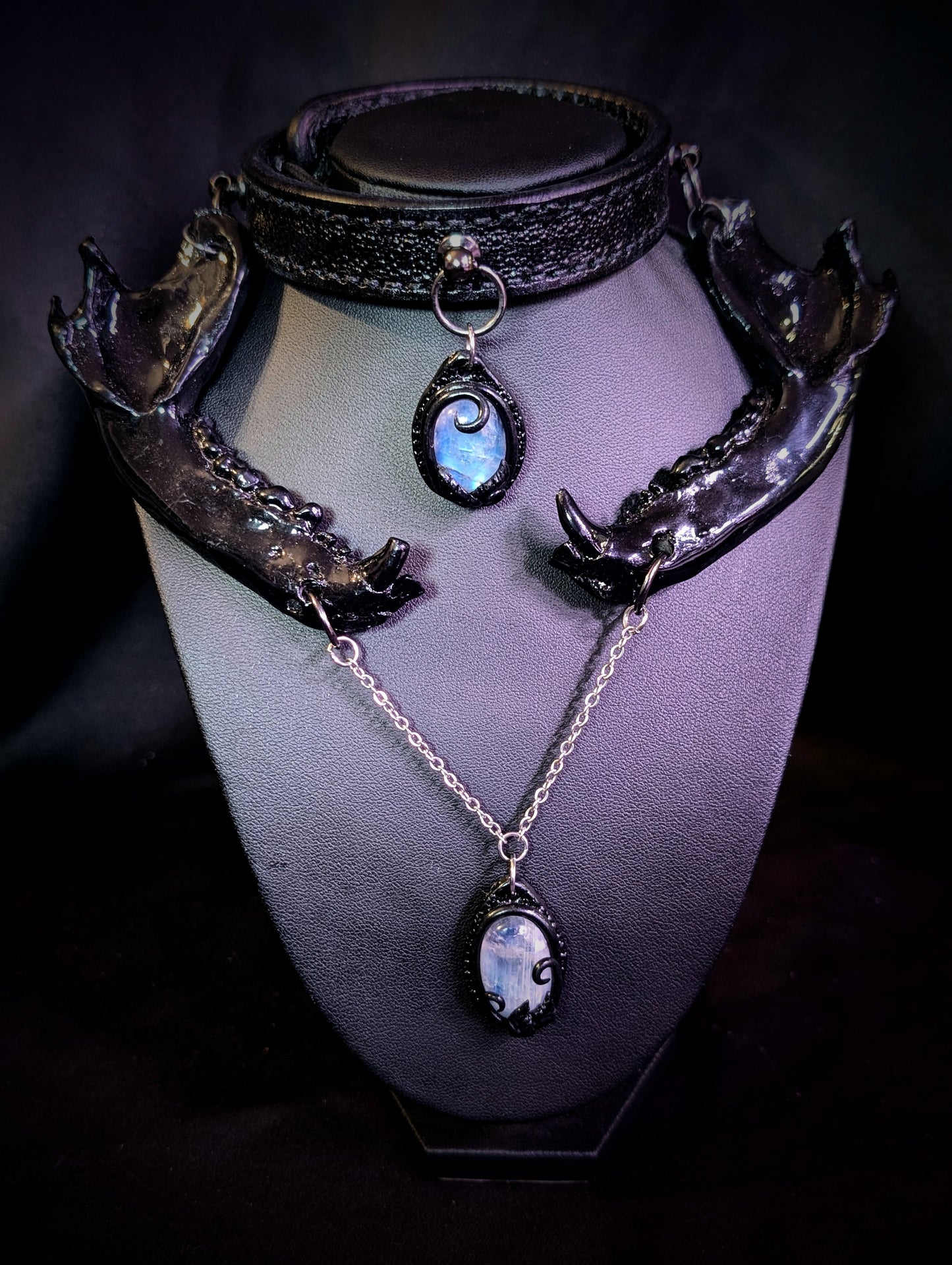 Raccoon jaw with moonstone choker