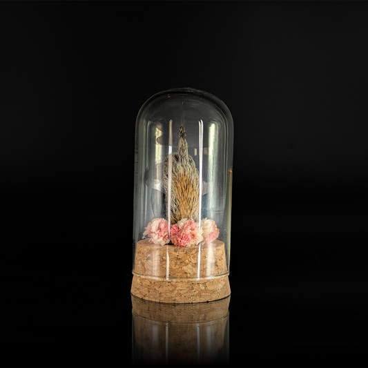 Squirrel Bird in Pink