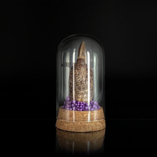 Armadillo Bird in Purple