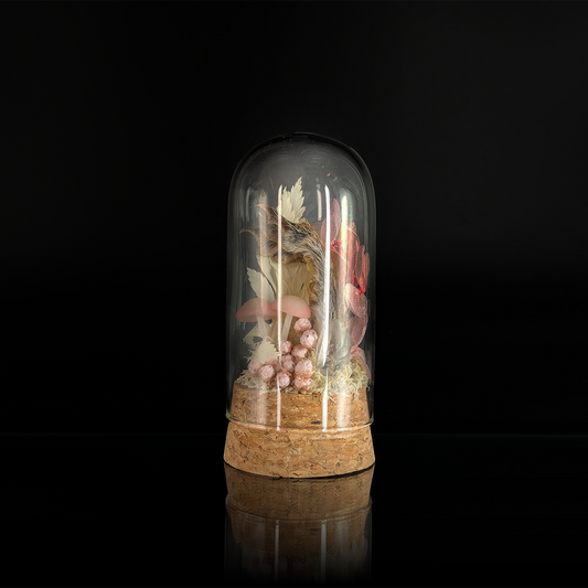 Squirrel Paw in Pink