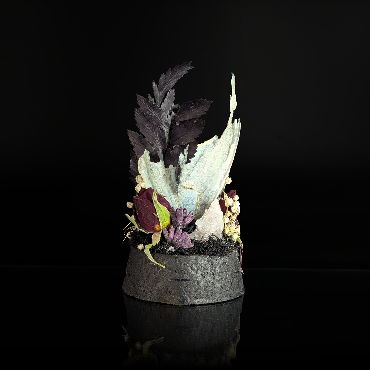 Tattered Luna Moth in Dark