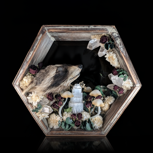 Raccoon Head Hex Mirror in White - 11x12.5