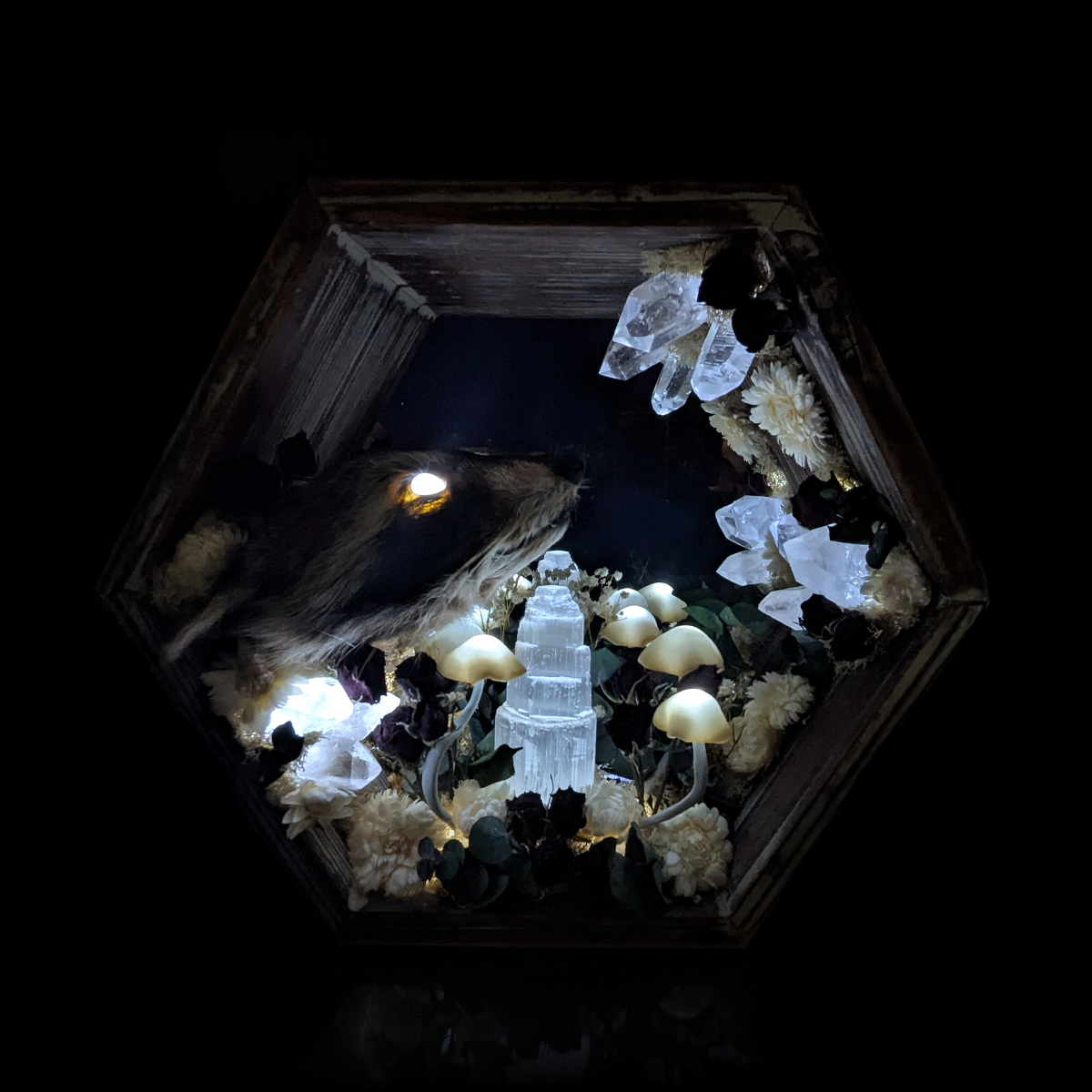 Raccoon Head Hex Mirror in White - 11x12.5